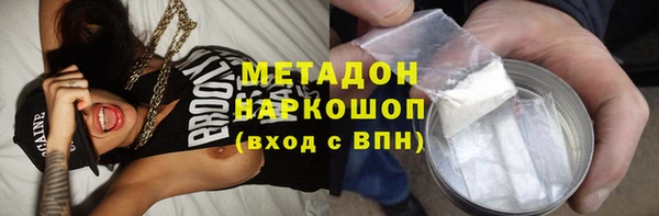 прущие грибы Армянск