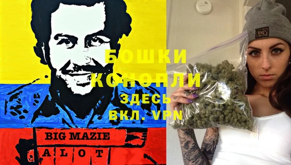 тгк Арсеньев