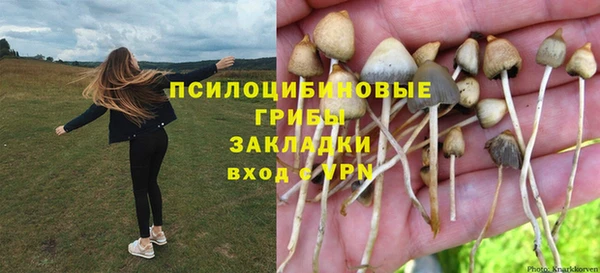 прущие грибы Армянск
