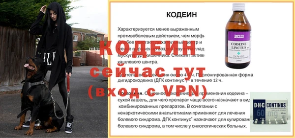 прущие грибы Армянск