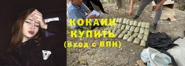 тгк Арсеньев